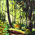 Devonian Trail 