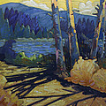 Whiffin Trail 